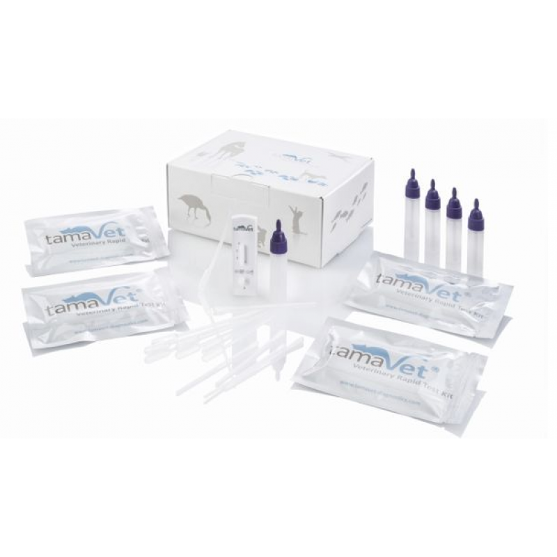 Multi 2TA kačių leukemijos ir kačių imunodeficito virusų nustatymo testai tamaVet®