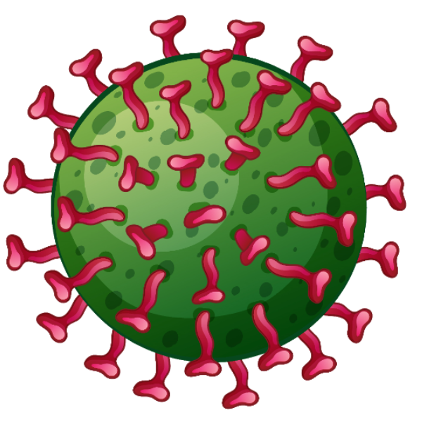 Rotovirusas ir jo dažniausi simptomai